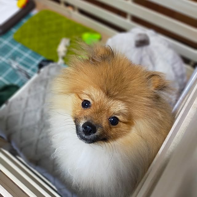 michiさんの部屋