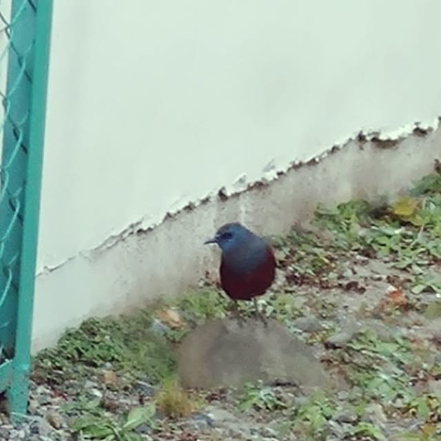 NOAHさんの部屋