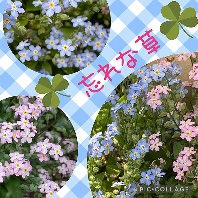 Smilkazuさんの実例写真
