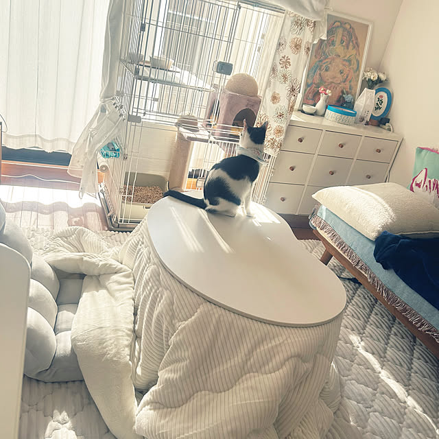 punさんの部屋