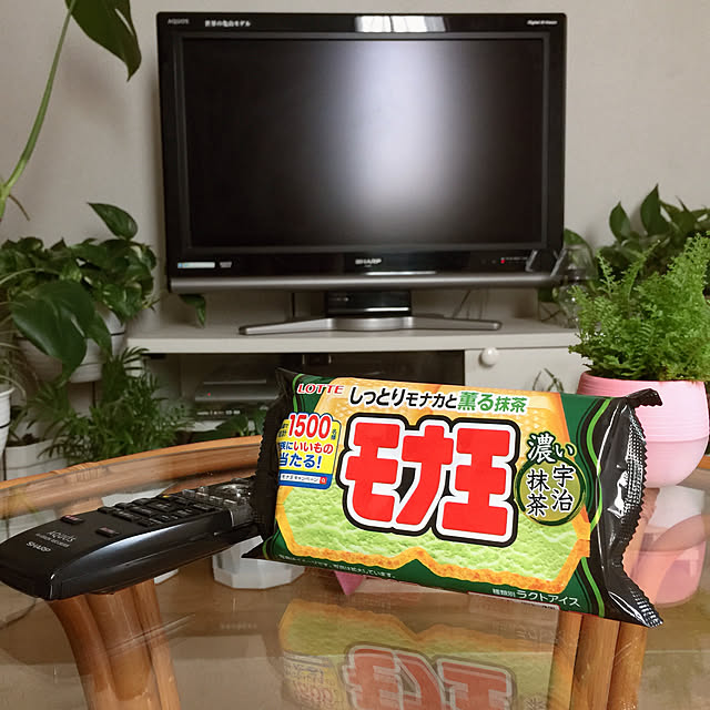 RanRanさんの実例写真