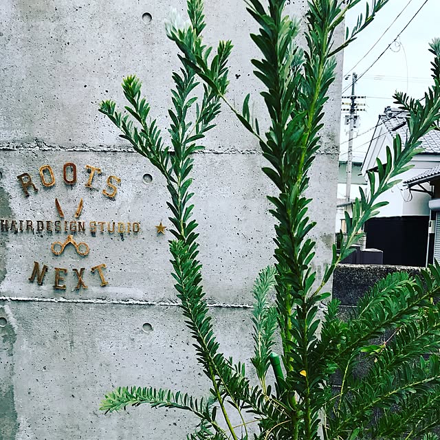rarryさんの実例写真