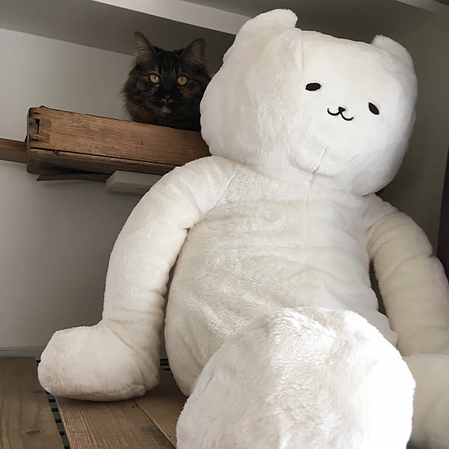mikomaruさんの実例写真