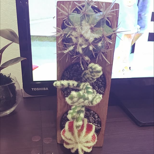 algoさんの実例写真