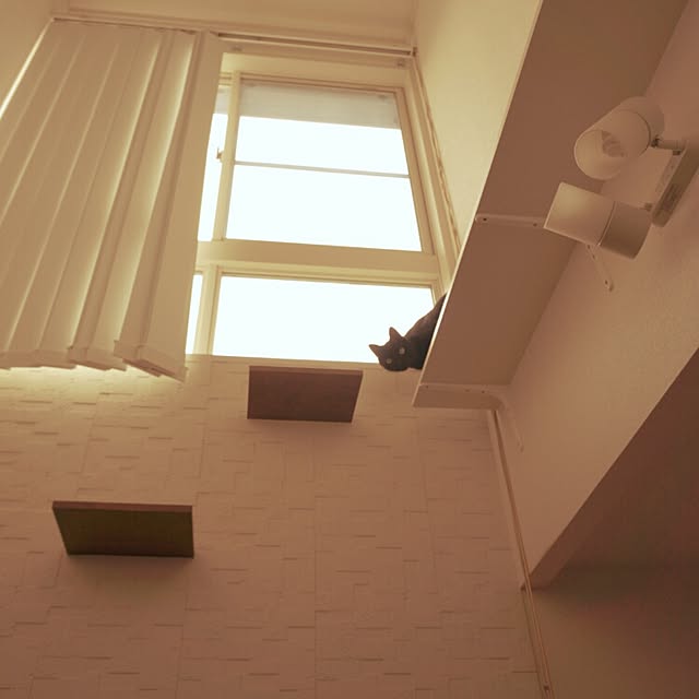 arutotoさんの実例写真
