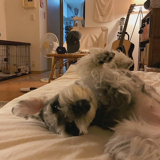 muuさんの実例写真
