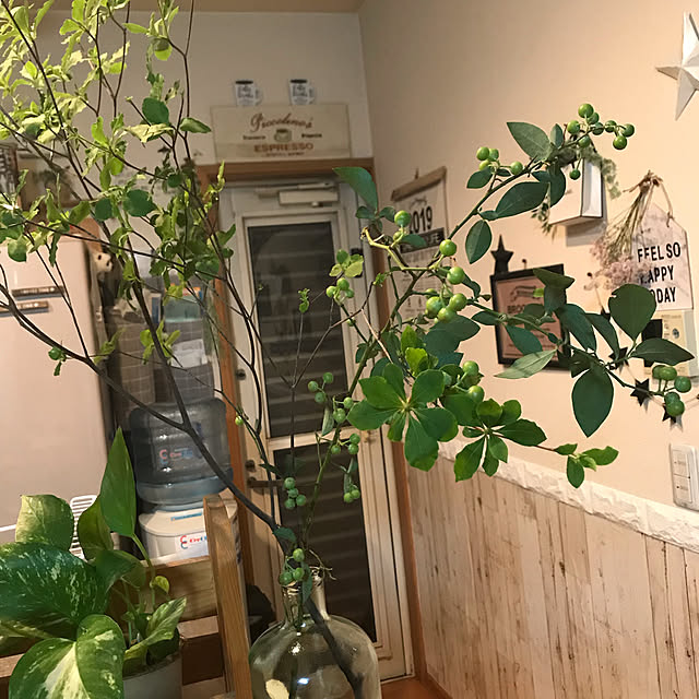 Akiさんの実例写真