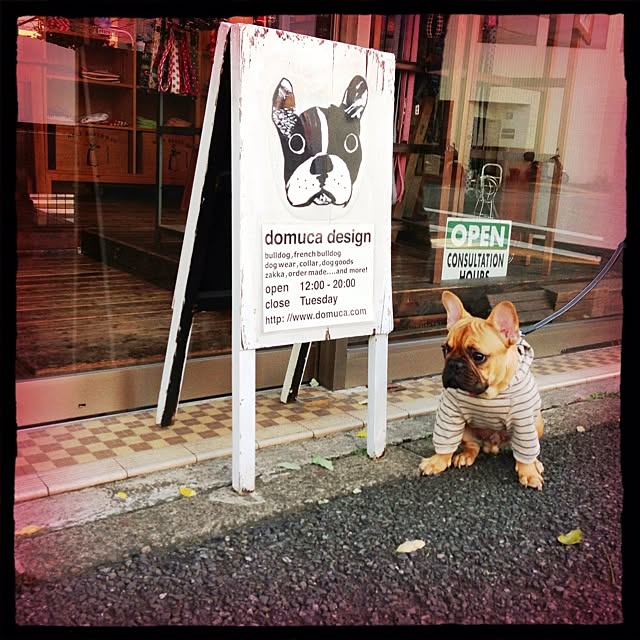 eriさんの実例写真
