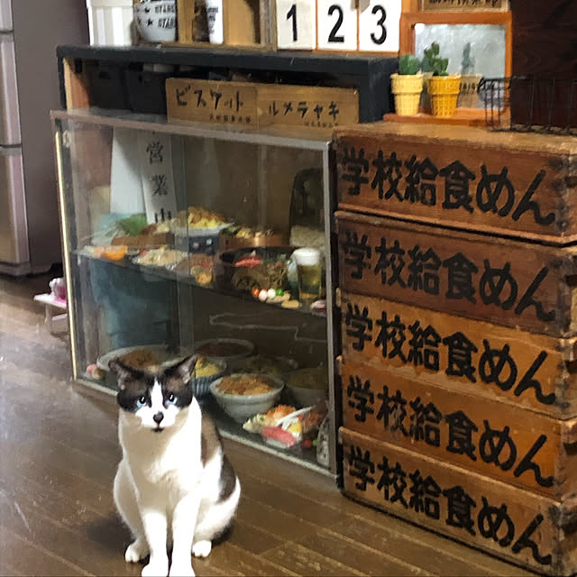 vivienne.coco-keiさんの実例写真