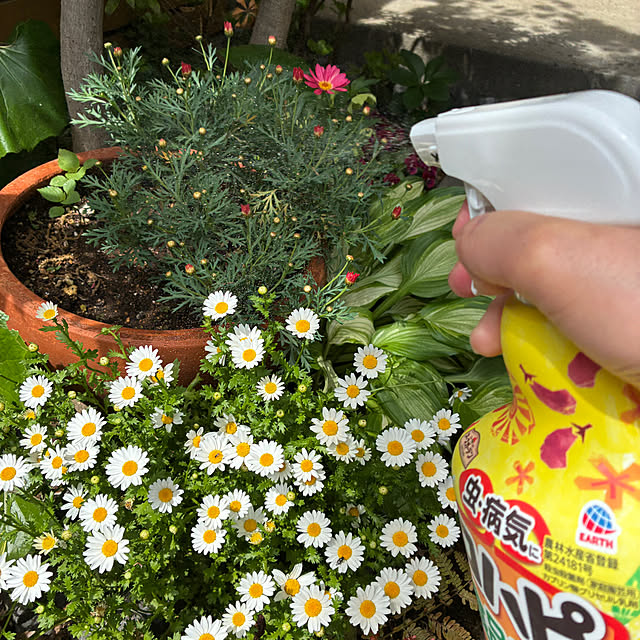 mirutanさんの部屋