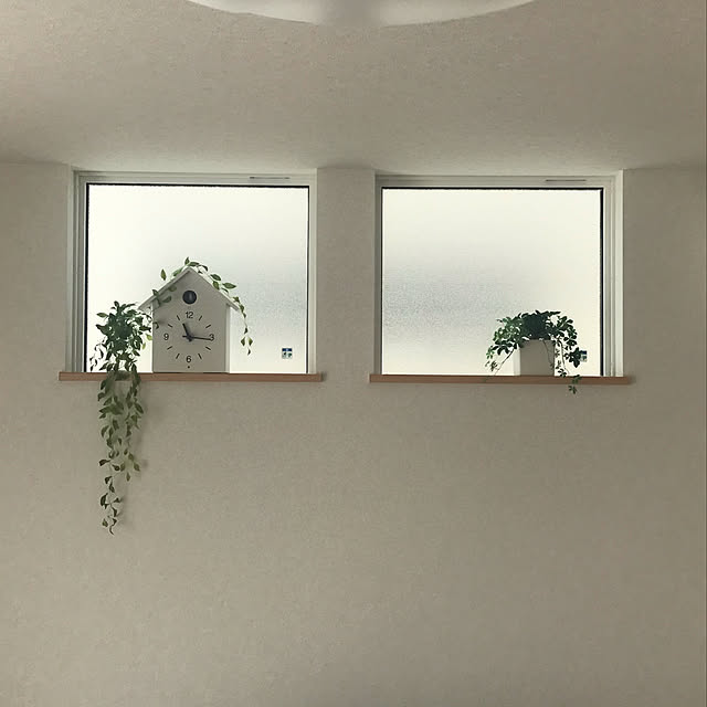 ayuさんの実例写真