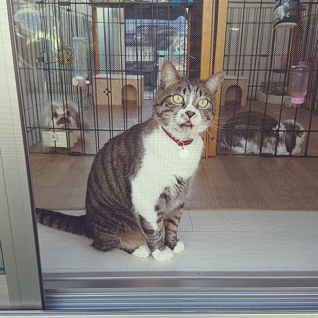 nellyさんの実例写真