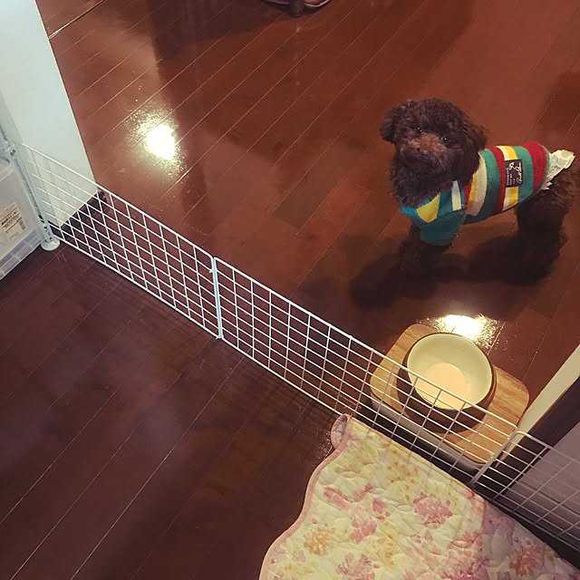 Mayさんの実例写真