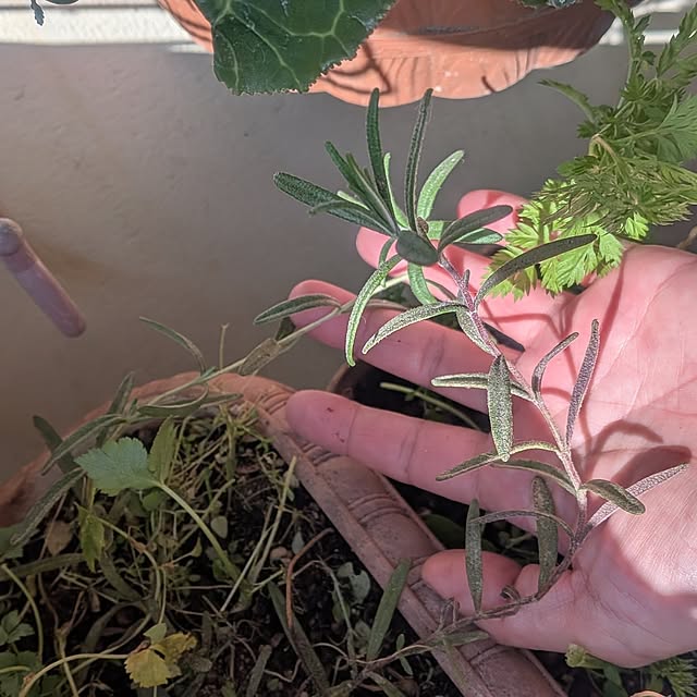 yk143さんの部屋