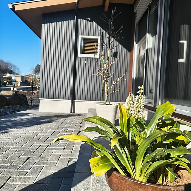 Rubiconさんの部屋