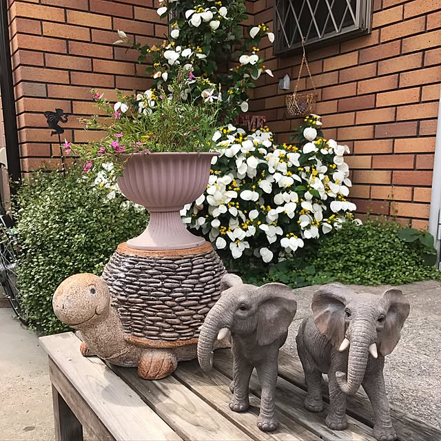 katsuさんの実例写真