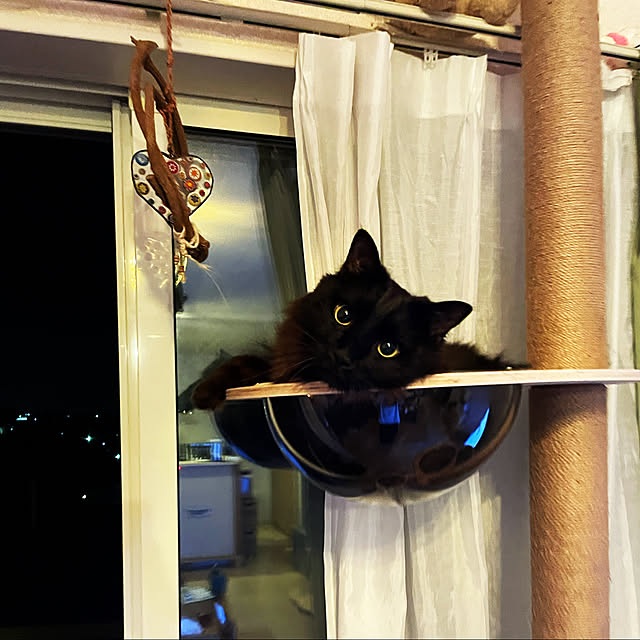 nuffyさんの実例写真