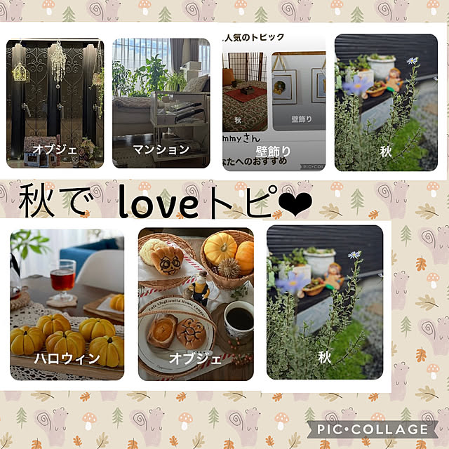 CoCo0617さんの実例写真