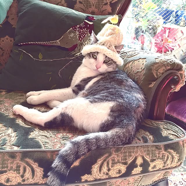 emmyyさんの実例写真