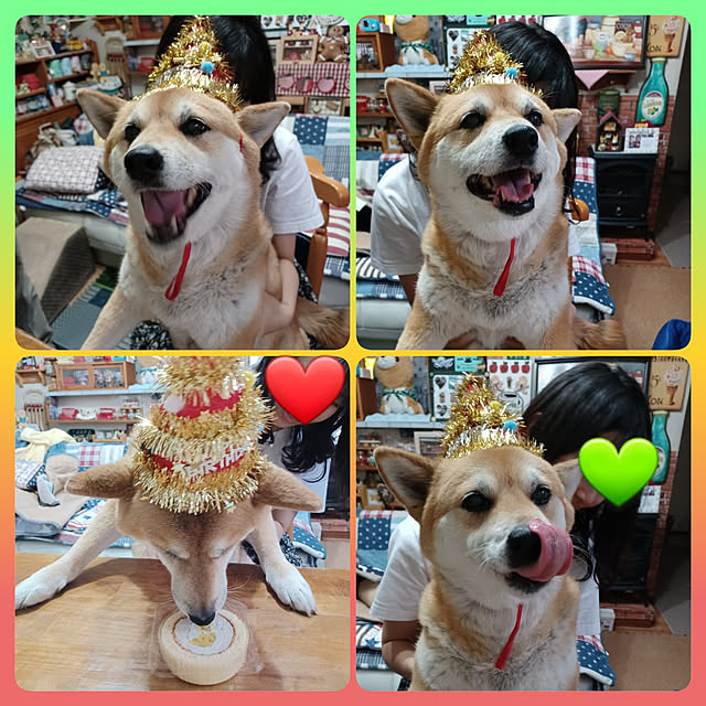 nanaさんの実例写真