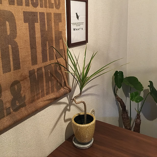 T.S.Pさんの実例写真