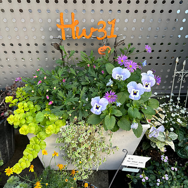 maayaさんの実例写真