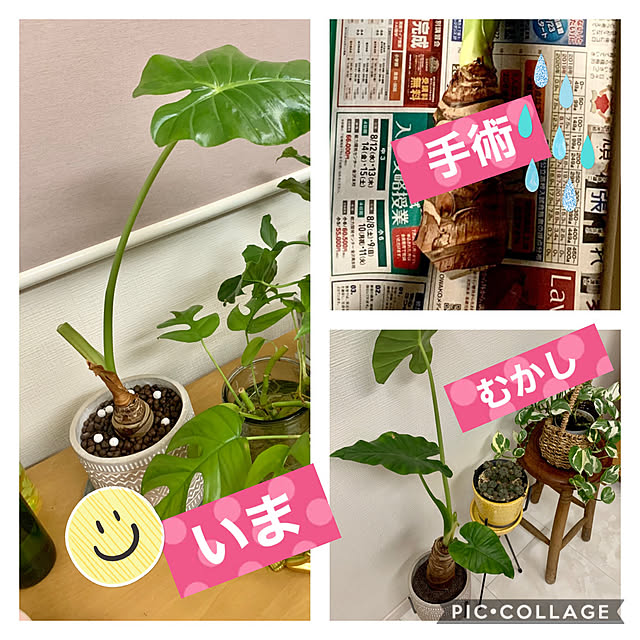 luluさんの実例写真