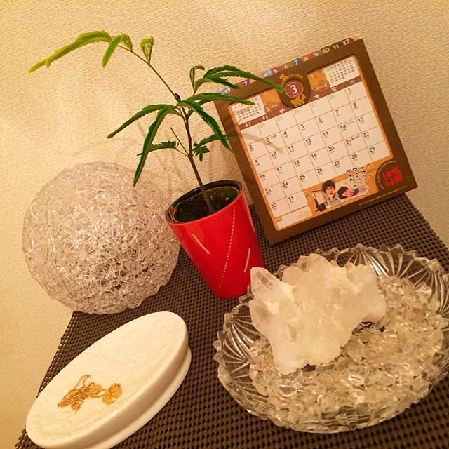 017さんの実例写真