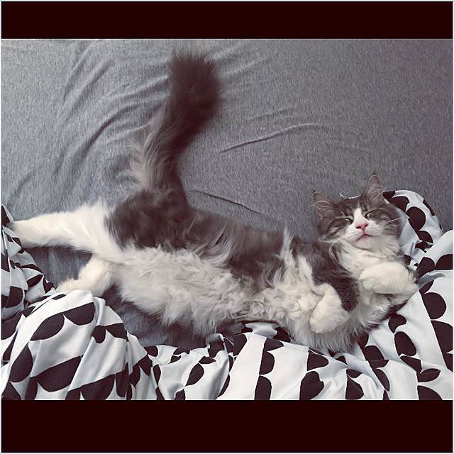 emさんの実例写真