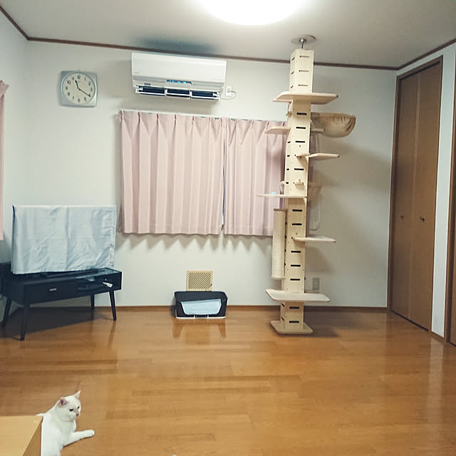nachiさんの実例写真