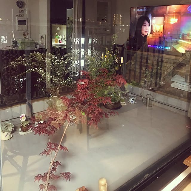 fuyiqian1026さんの実例写真