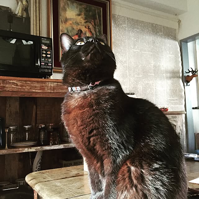Naoki.さんの実例写真