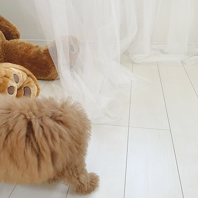 chiii__0317さんの実例写真