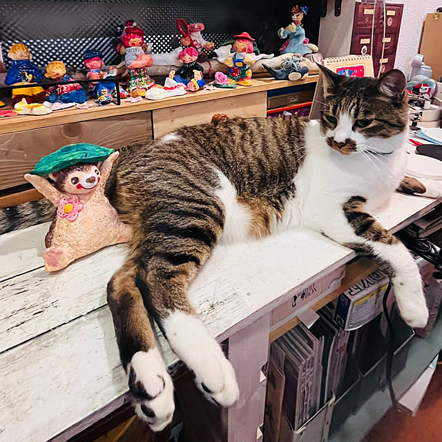 jijiさんの実例写真