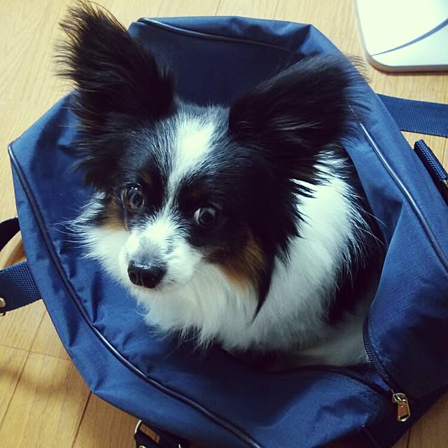 Smileberryさんの実例写真