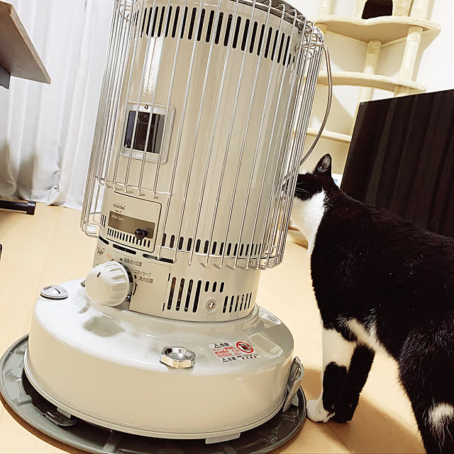 yokoさんの実例写真