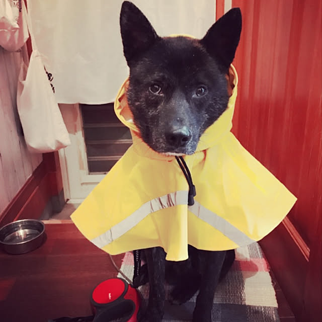 haruさんの実例写真