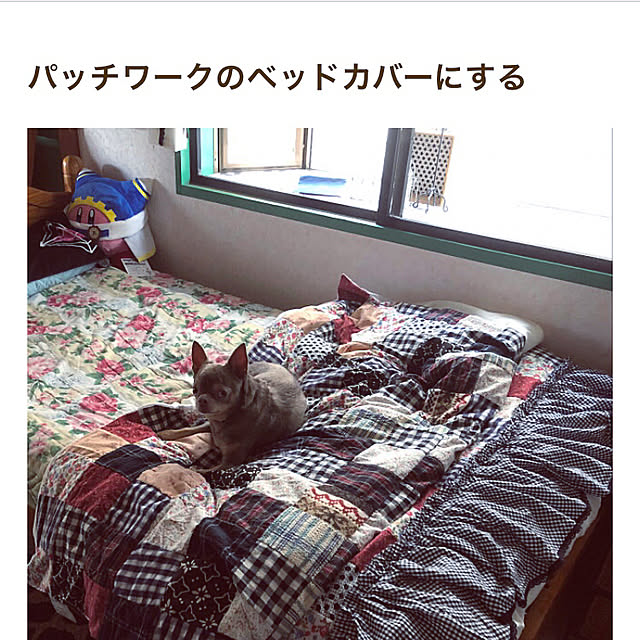 shippoさんの実例写真