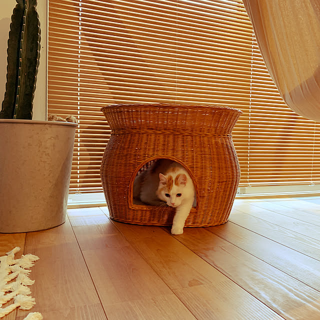 ____m6__56さんの実例写真