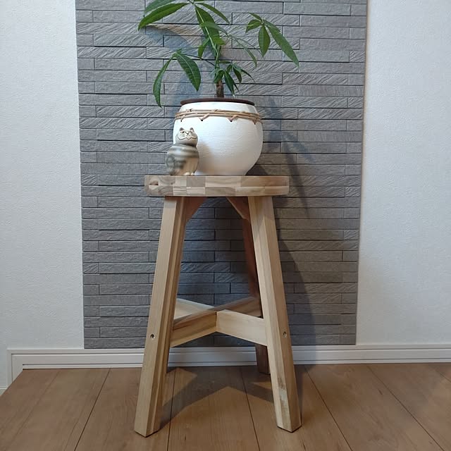 tan5さんの実例写真