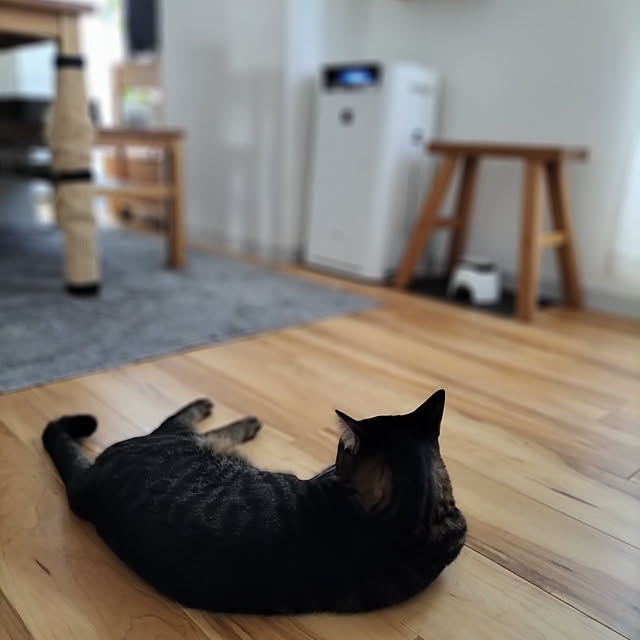 hihaさんの実例写真