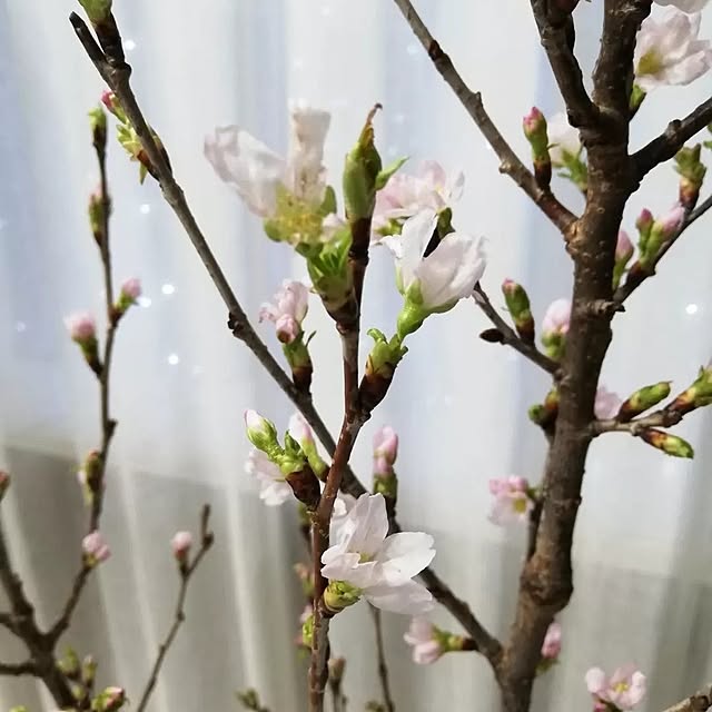 fumitanさんの部屋