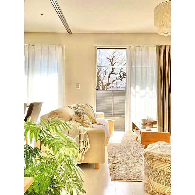 壁/天井/エバーフレッシュ/観葉植物/ナチュラルインテリア/momo natural...などのインテリア実例 - 2025-02-08 12:46:15