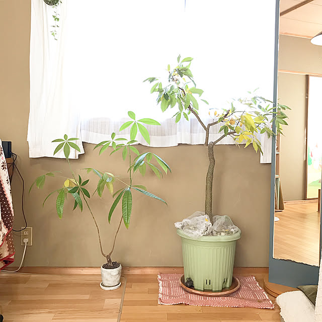 komoriさんの実例写真