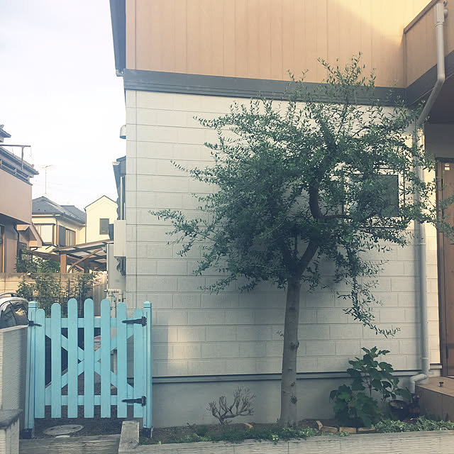 kazuさんの実例写真