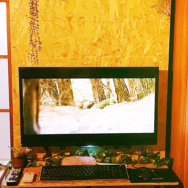実例写真