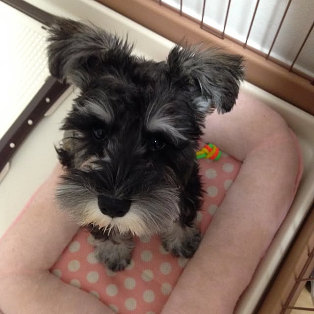 tamaeさんの実例写真