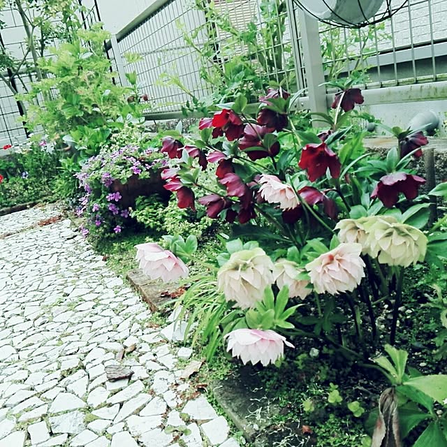 7tuさんの実例写真