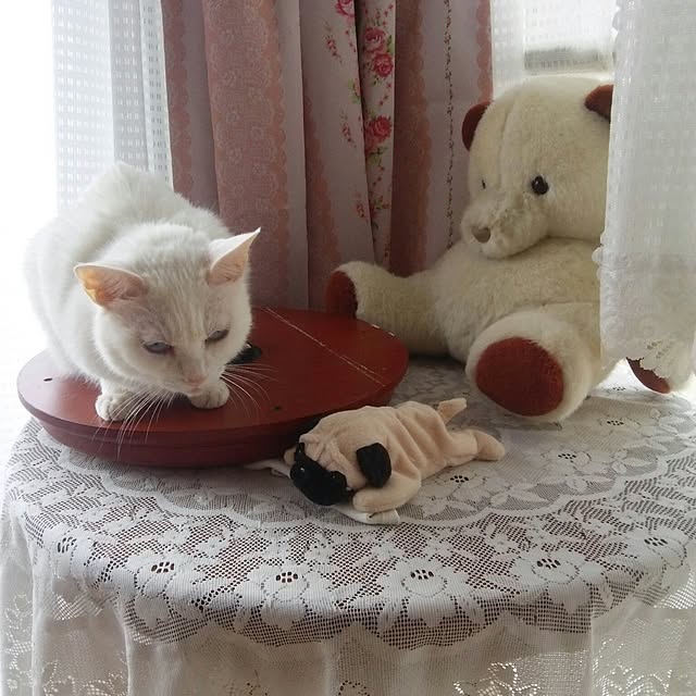 sakuraさんの実例写真
