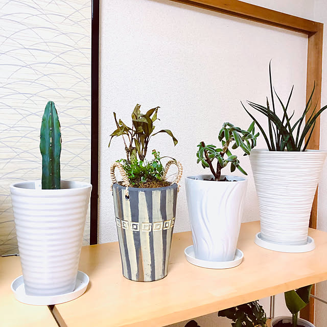 hanachanさんの部屋